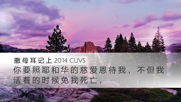 撒 母 耳 记 上 20:14 CUVS Bible Verse Image