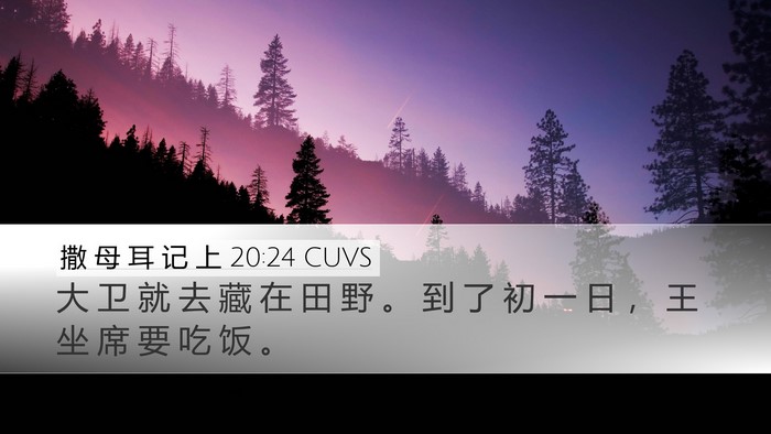 撒 母 耳 记 上 20:24 CUVS Desktop Wallpaper - 大 卫 就 去 藏 在 田 野 。 到 了 初 - Desktop Bible Verse Wallpaper