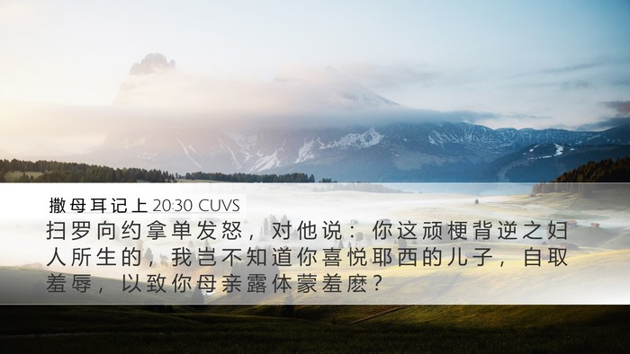 撒 母 耳 记 上 20:30 CUVS Bible Verse Image