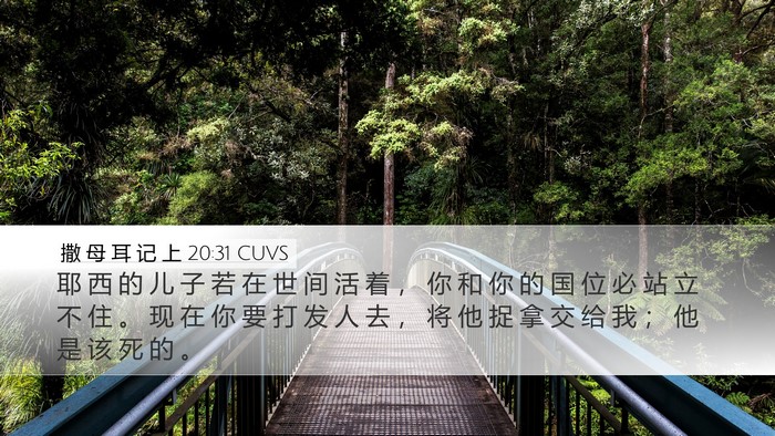撒 母 耳 记 上 20:31 CUVS Bible Verse Image