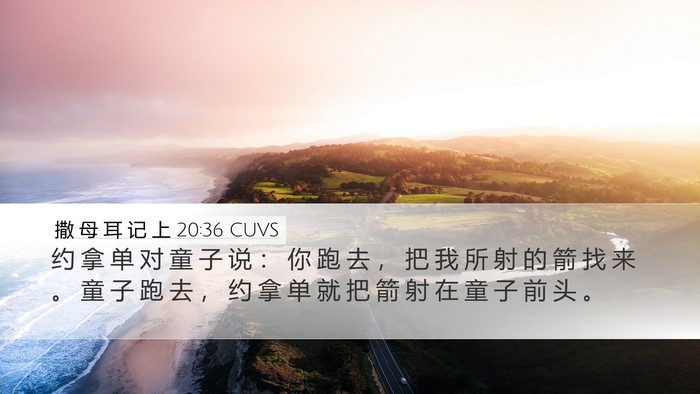 撒 母 耳 记 上 20:36 CUVS Desktop Wallpaper - 约 拿 单 对 童 子 说 ： 你 跑 去 ， - Desktop Bible Verse Wallpaper