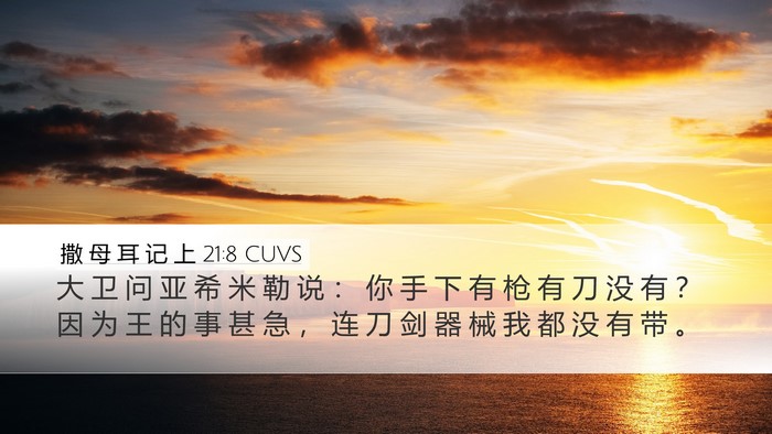 撒 母 耳 记 上 21:8 CUVS Bible Verse Image