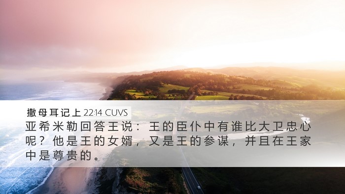 撒 母 耳 记 上 22:14 CUVS Bible Verse Image