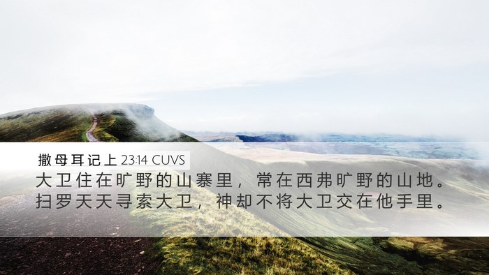 撒 母 耳 记 上 23:14 CUVS Bible Verse Image