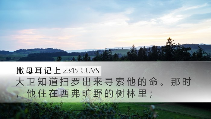 撒 母 耳 记 上 23:15 CUVS Bible Verse Image