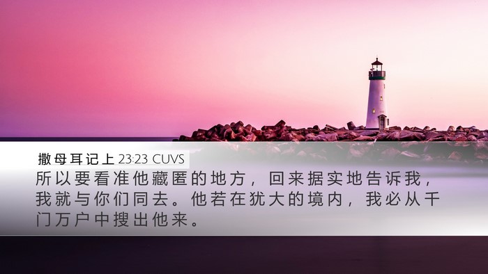 撒 母 耳 记 上 23:23 CUVS Bible Verse Image
