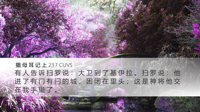 撒 母 耳 记 上 23:7 CUVS Bible Verse Image