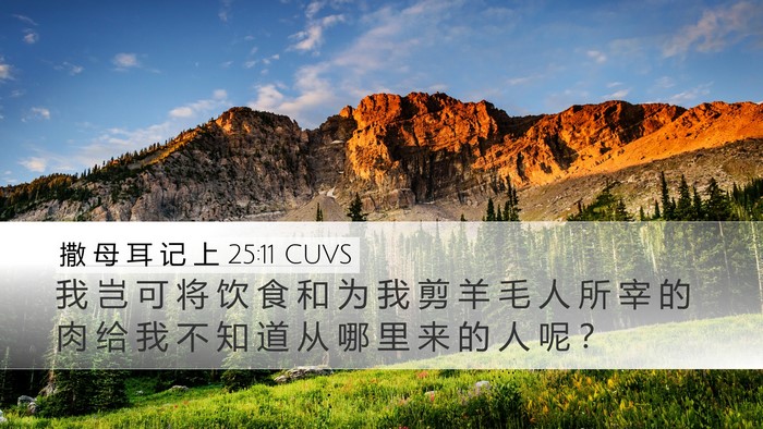 撒 母 耳 记 上 25:11 CUVS Bible Verse Image