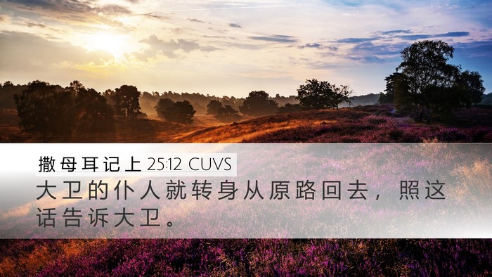 撒 母 耳 记 上 25:12 CUVS Desktop Wallpaper - 大 卫 的 仆 人 就 转 身 从 原 路 回 - Desktop Bible Verse Wallpaper