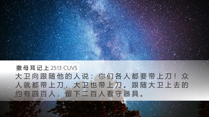 撒 母 耳 记 上 25:13 CUVS Bible Verse Image