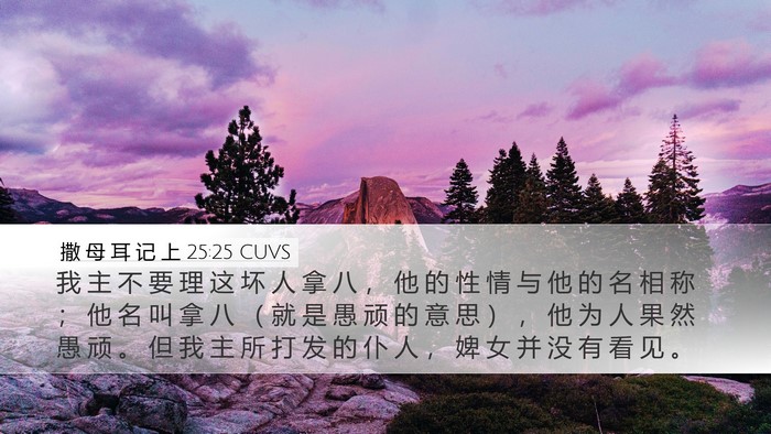撒 母 耳 记 上 25:25 CUVS Bible Verse Image