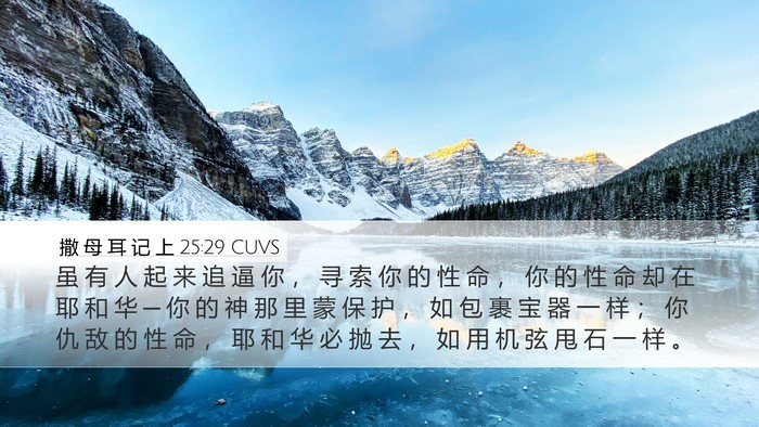 撒 母 耳 记 上 25:29 CUVS Bible Verse Image