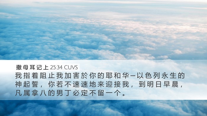 撒 母 耳 记 上 25:34 CUVS Bible Verse Image