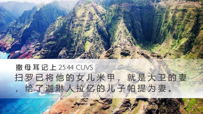 撒 母 耳 记 上 25:44 CUVS Bible Verse Image