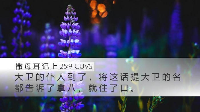 撒 母 耳 记 上 25:9 CUVS Desktop Wallpaper - 大 卫 的 仆 人 到 了 ， 将 这 话 提 - Desktop Bible Verse Wallpaper