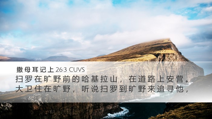 撒 母 耳 记 上 26:3 CUVS Bible Verse Image