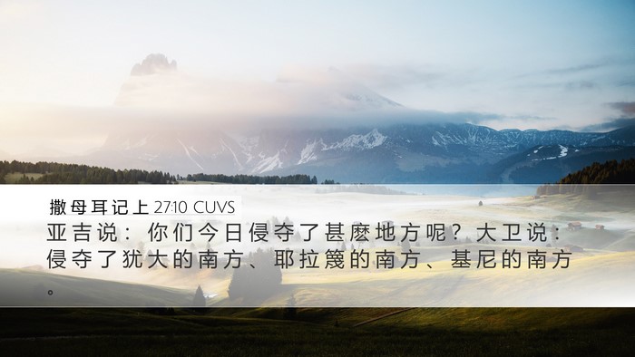 撒 母 耳 记 上 27:10 CUVS Bible Verse Image