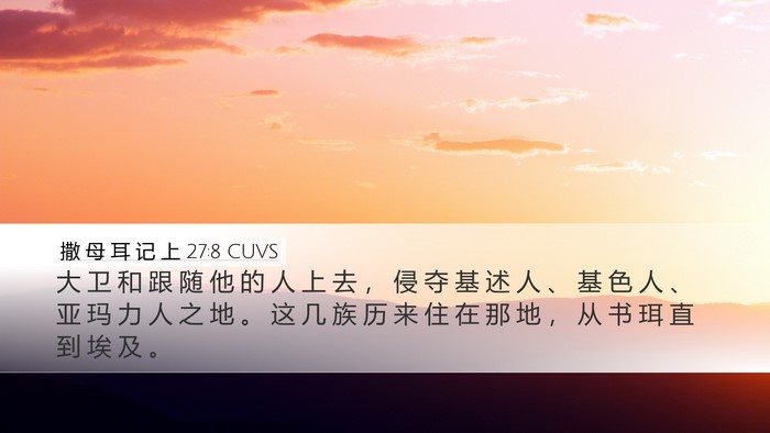 撒 母 耳 记 上 27:8 CUVS Bible Verse Image