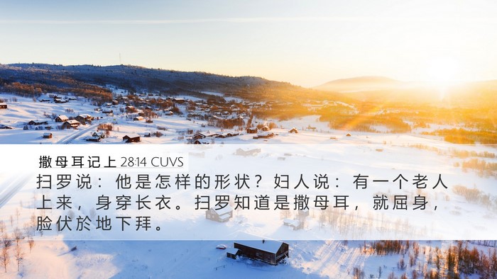 撒 母 耳 记 上 28:14 CUVS Bible Verse Image