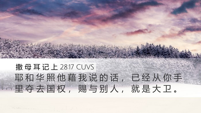 撒 母 耳 记 上 28:17 CUVS Desktop Wallpaper - 耶 和 华 照 他 藉 我 说 的 话 ， 已 - Desktop Bible Verse Wallpaper