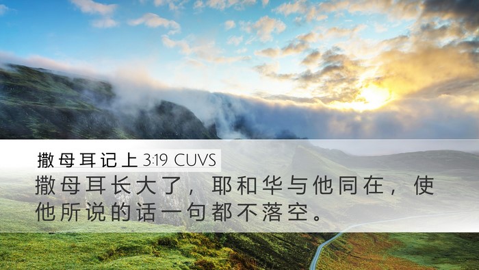 撒 母 耳 记 上 3:19 CUVS Bible Verse Image