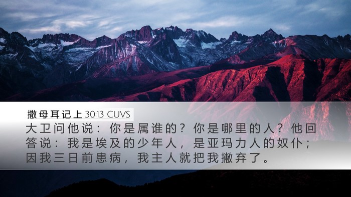 撒 母 耳 记 上 30:13 CUVS Bible Verse Image