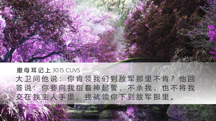 撒 母 耳 记 上 30:15 CUVS Bible Verse Image