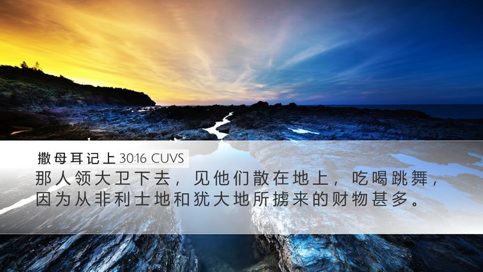 撒 母 耳 记 上 30:16 CUVS Bible Verse Image