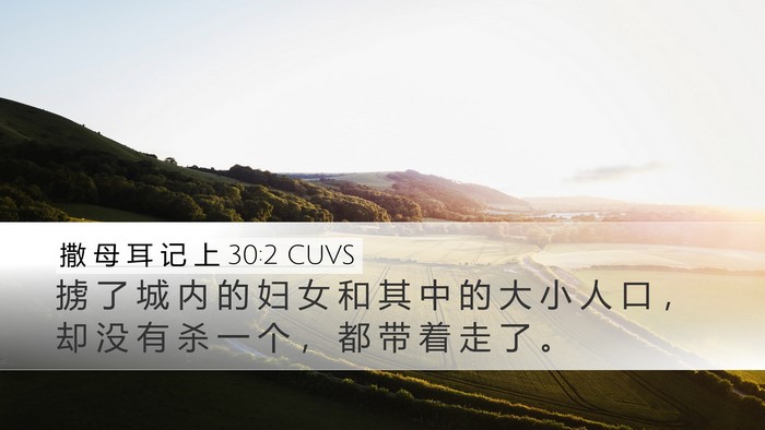 撒 母 耳 记 上 30:2 CUVS Desktop Wallpaper - 掳 了 城 内 的 妇 女 和 其 中 的 大 - Desktop Bible Verse Wallpaper