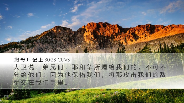 撒 母 耳 记 上 30:23 CUVS Desktop Wallpaper - 大 卫 说 ： 弟 兄 们 ， 耶 和 华 所 - Desktop Bible Verse Wallpaper