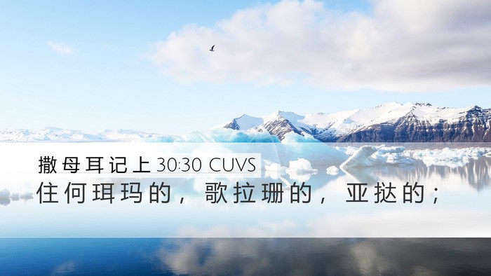 撒 母 耳 记 上 30:30 CUVS Bible Verse Image