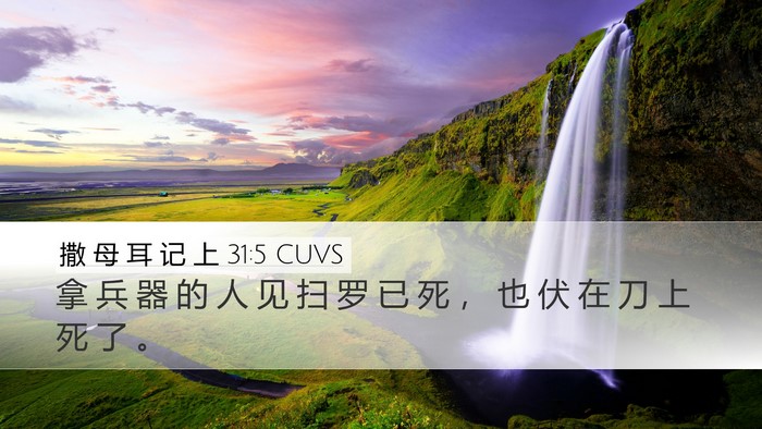 撒 母 耳 记 上 31:5 CUVS Desktop Wallpaper - 拿 兵 器 的 人 见 扫 罗 已 死 ， 也 - Desktop Bible Verse Wallpaper