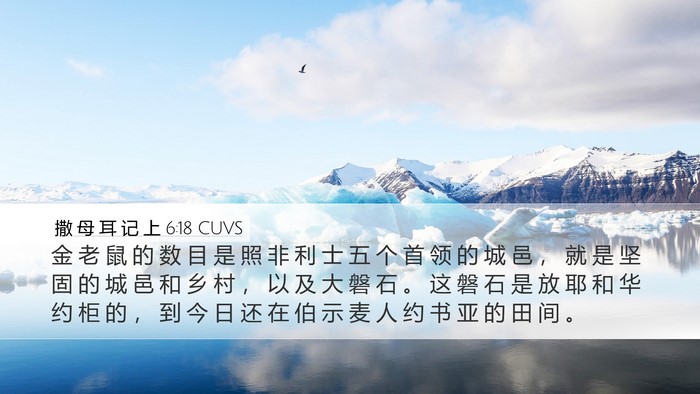 撒 母 耳 记 上 6:18 CUVS Desktop Wallpaper - 金 老 鼠 的 数 目 是 照 非 利 士 五 - Desktop Bible Verse Wallpaper