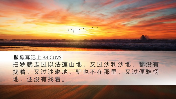 撒 母 耳 记 上 9:4 CUVS Desktop Wallpaper - 扫 罗 就 走 过 以 法 莲 山 地 ， 又 - Desktop Bible Verse Wallpaper