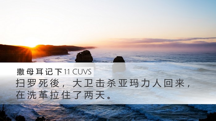 撒 母 耳 记 下 1:1 CUVS Desktop Wallpaper - 扫 罗 死 後 ， 大 卫 击 杀 亚 玛 力 - Desktop Bible Verse Wallpaper