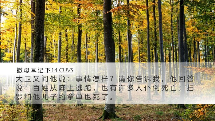 撒 母 耳 记 下 1:4 CUVS Desktop Wallpaper - 大 卫 又 问 他 说 ： 事 情 怎 样 ？ - Desktop Bible Verse Wallpaper
