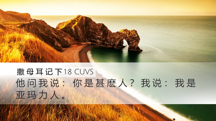 撒 母 耳 记 下 1:8 CUVS Desktop Wallpaper - 他 问 我 说 ： 你 是 甚 麽 人 ？ 我 - Desktop Bible Verse Wallpaper