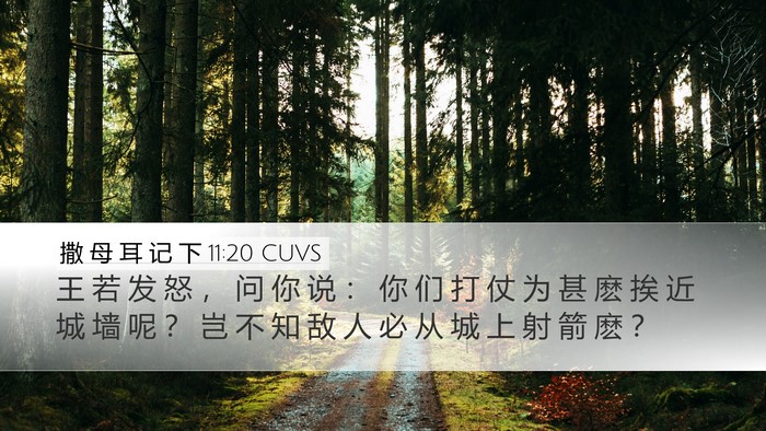 撒 母 耳 记 下 11:20 CUVS Desktop Wallpaper - 王 若 发 怒 ， 问 你 说 ： 你 们 打 - Desktop Bible Verse Wallpaper