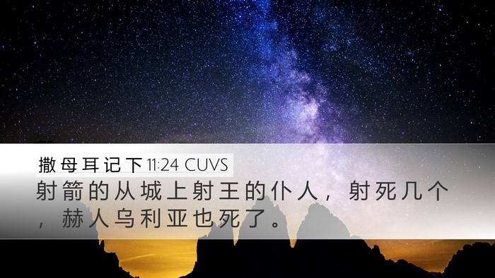 撒 母 耳 记 下 11:24 CUVS Desktop Wallpaper - 射 箭 的 从 城 上 射 王 的 仆 人 ， - Desktop Bible Verse Wallpaper