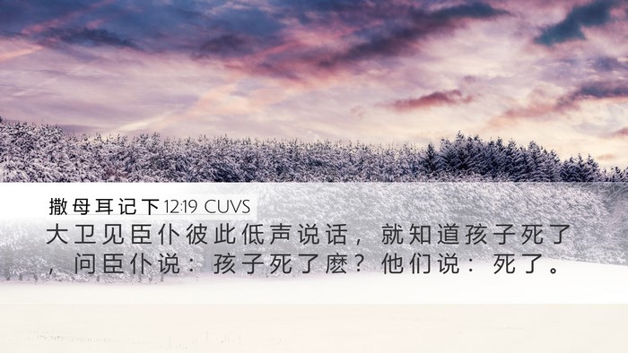 撒 母 耳 记 下 12:19 CUVS Bible Verse Image