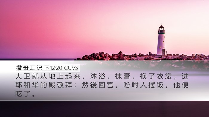 撒 母 耳 记 下 12:20 CUVS Bible Verse Image