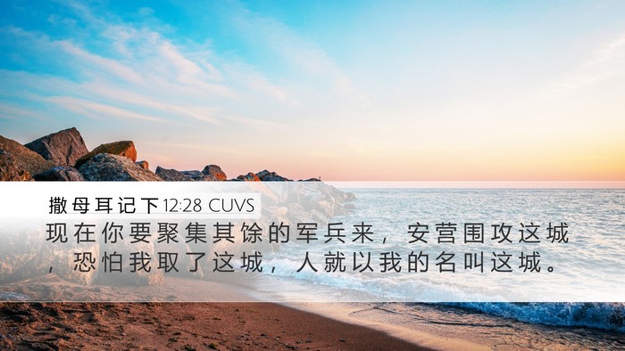 撒 母 耳 记 下 12:28 CUVS Bible Verse Image