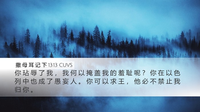 撒 母 耳 记 下 13:13 CUVS Bible Verse Image