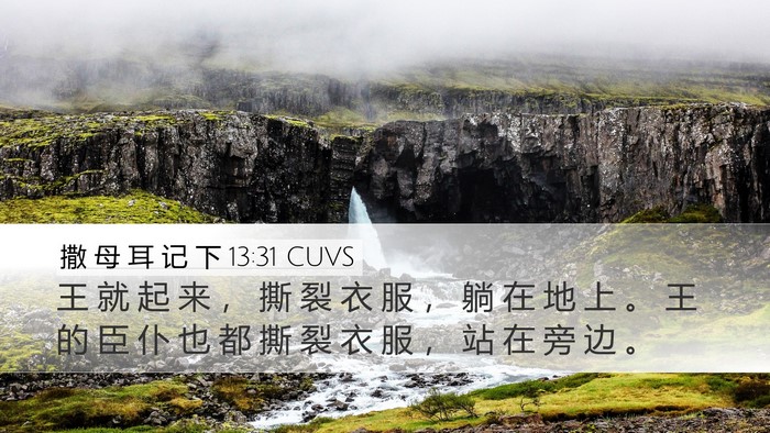 撒 母 耳 记 下 13:31 CUVS Bible Verse Image