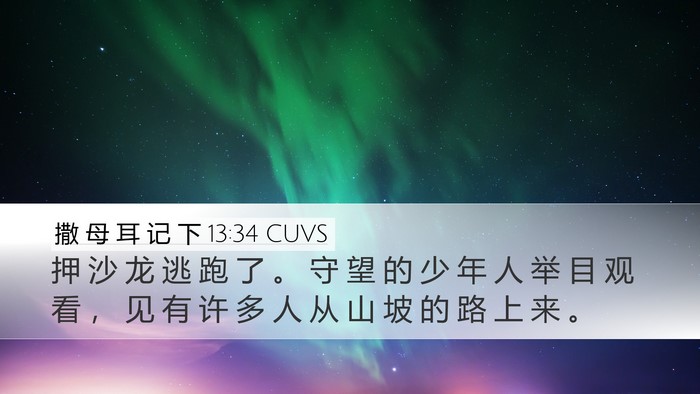 撒 母 耳 记 下 13:34 CUVS Bible Verse Image