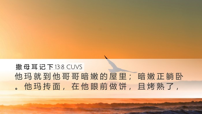 撒 母 耳 记 下 13:8 CUVS Desktop Wallpaper - 他 玛 就 到 他 哥 哥 暗 嫩 的 屋 里 - Desktop Bible Verse Wallpaper