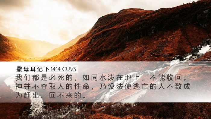 撒 母 耳 记 下 14:14 CUVS Bible Verse Image