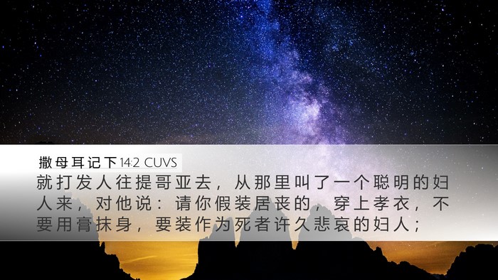 撒 母 耳 记 下 14:2 CUVS Bible Verse Image