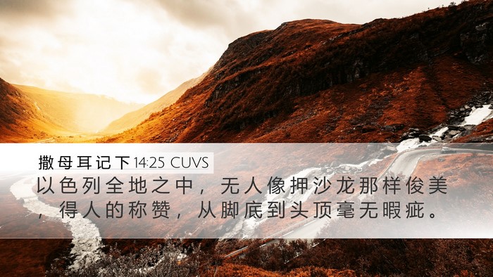撒 母 耳 记 下 14:25 CUVS Bible Verse Image