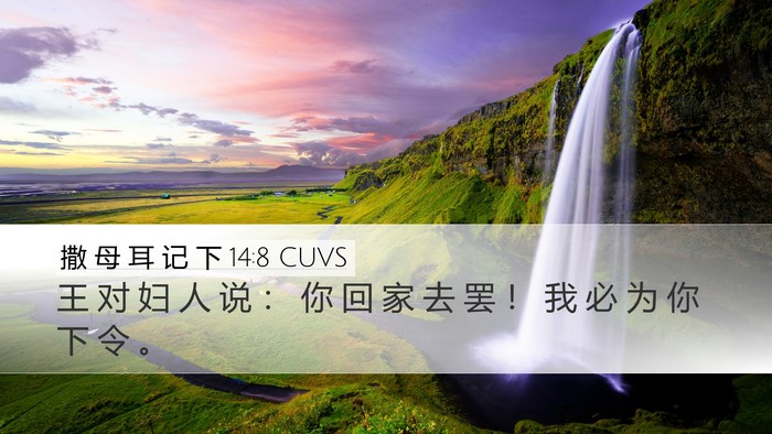 撒 母 耳 记 下 14:8 CUVS Desktop Wallpaper - 王 对 妇 人 说 ： 你 回 家 去 罢 ！ - Desktop Bible Verse Wallpaper